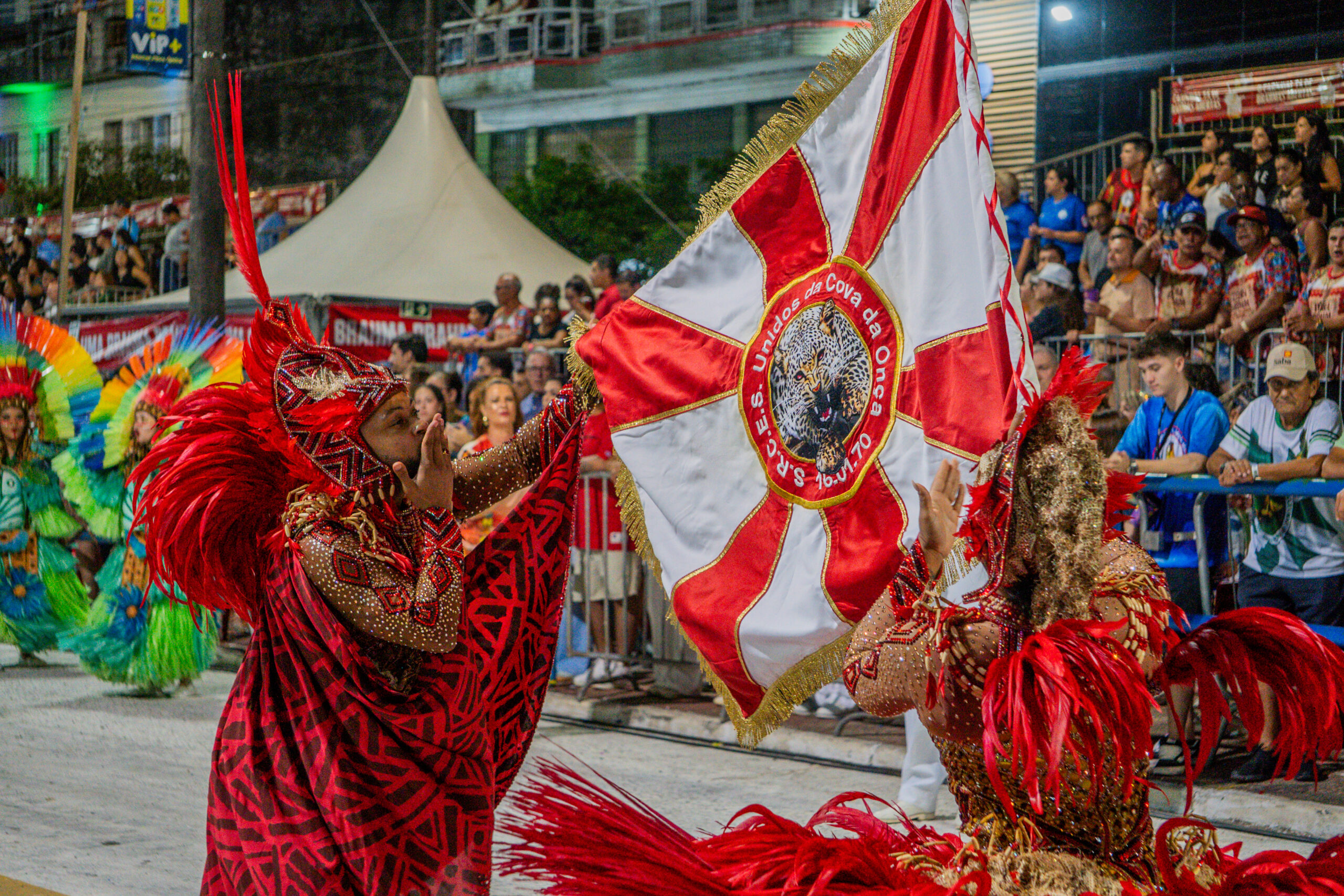 DSC00341 DSC00341