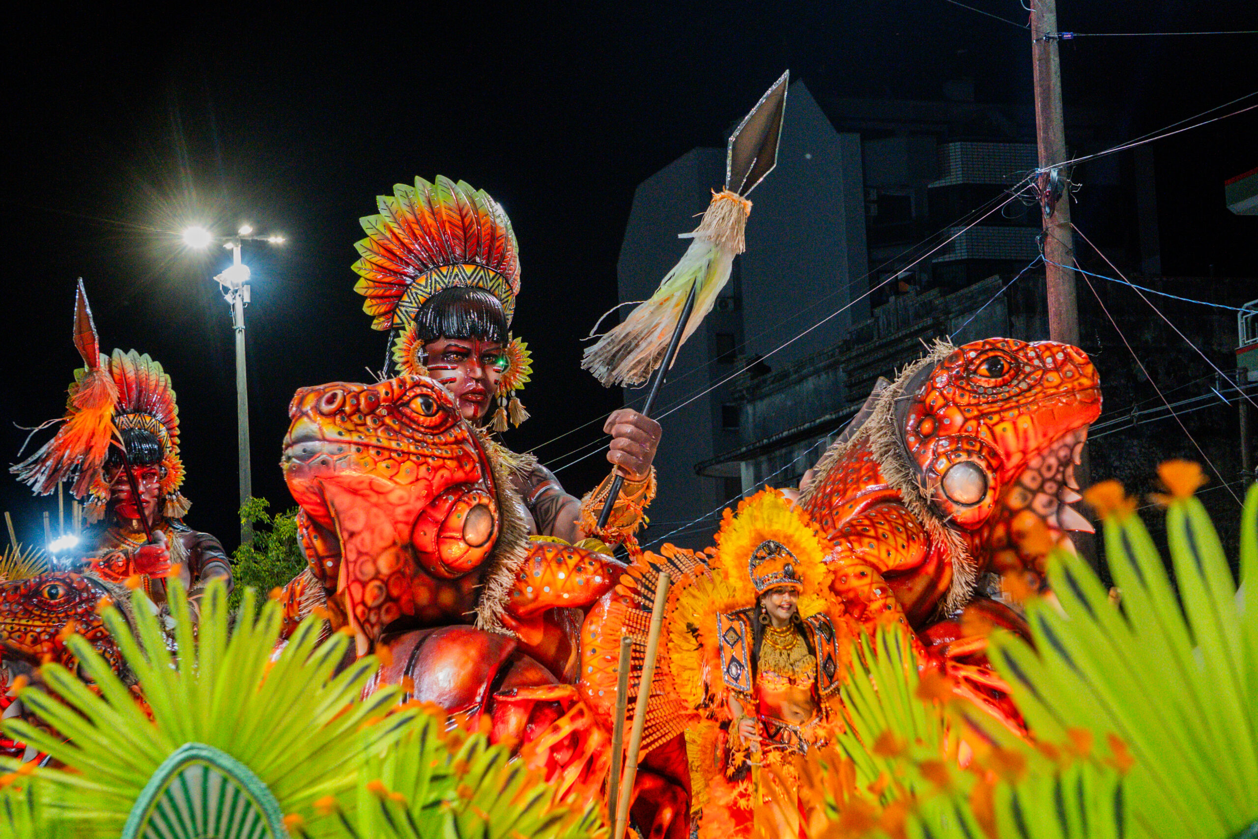 DSC09556 DSC09556