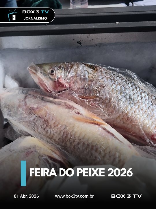 Post: COMEÇOU A FEITA DO PEIXE.

Mais uma pásc…