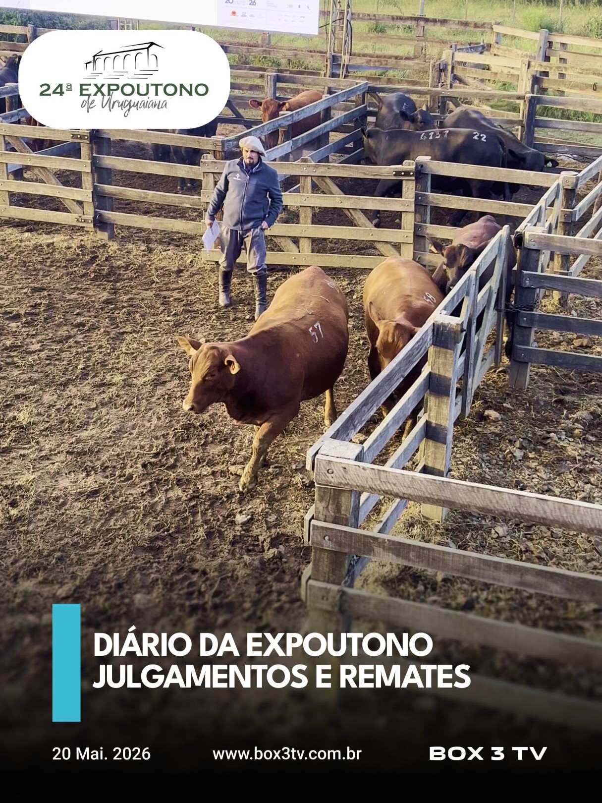 Post: DIÁRIO DA 24a EXPOUTONO – DIA 03 🐂🌾🇳🇱

N…