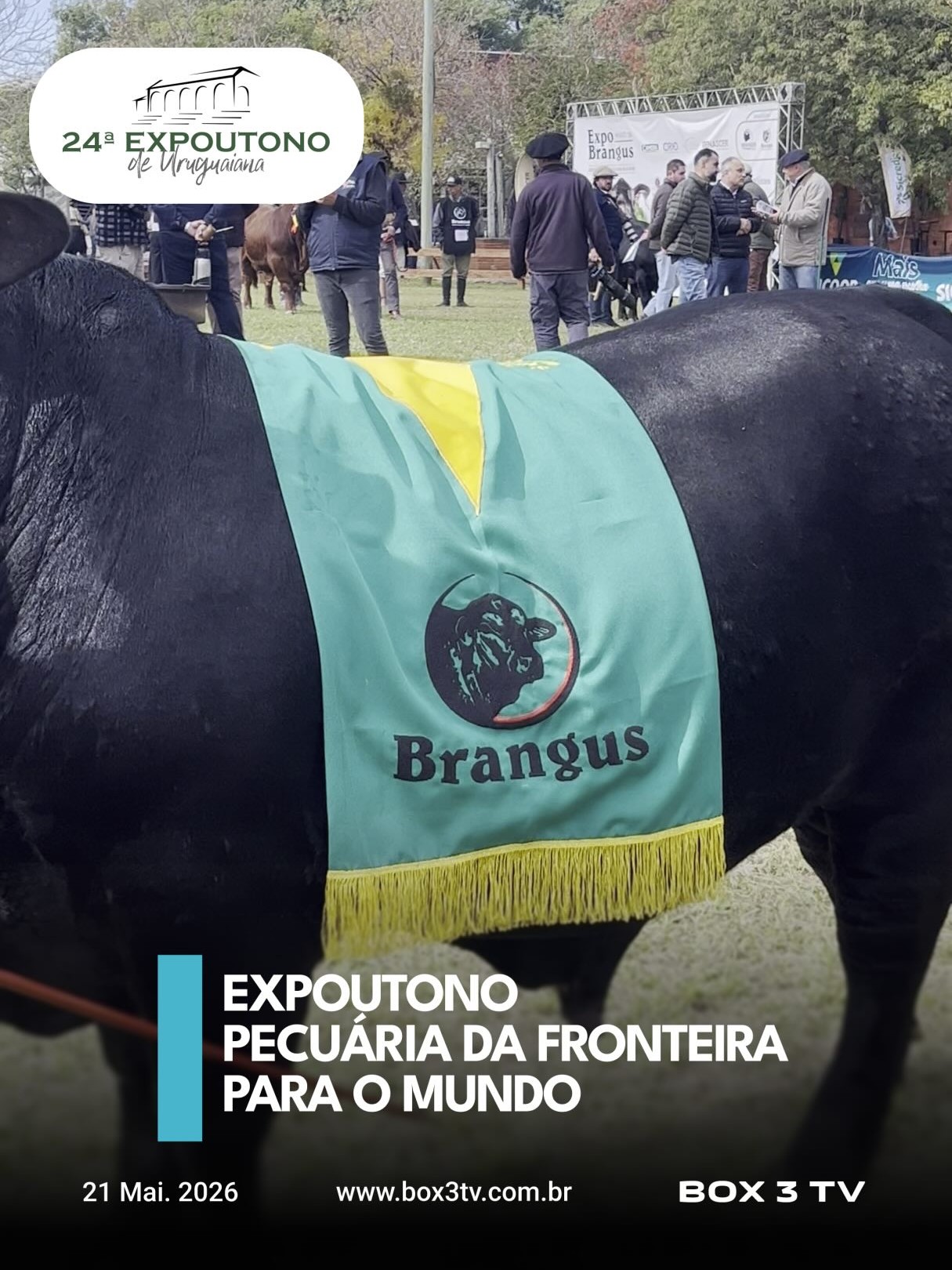 Post: PECUÁRIA DA FRONTEIRA PARA O MUNDO! 🐂🥩🌎
…