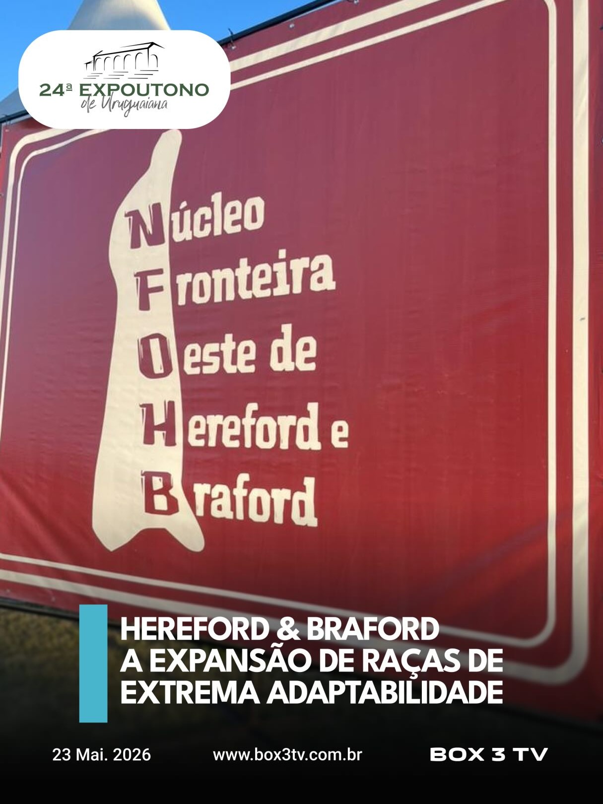 Post: Hereford e Braford protagonizam sábado d…